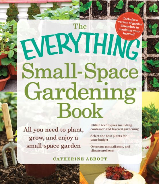 Small Space Vegetable Garden