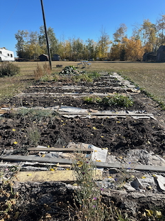 Cleaning up my Garden