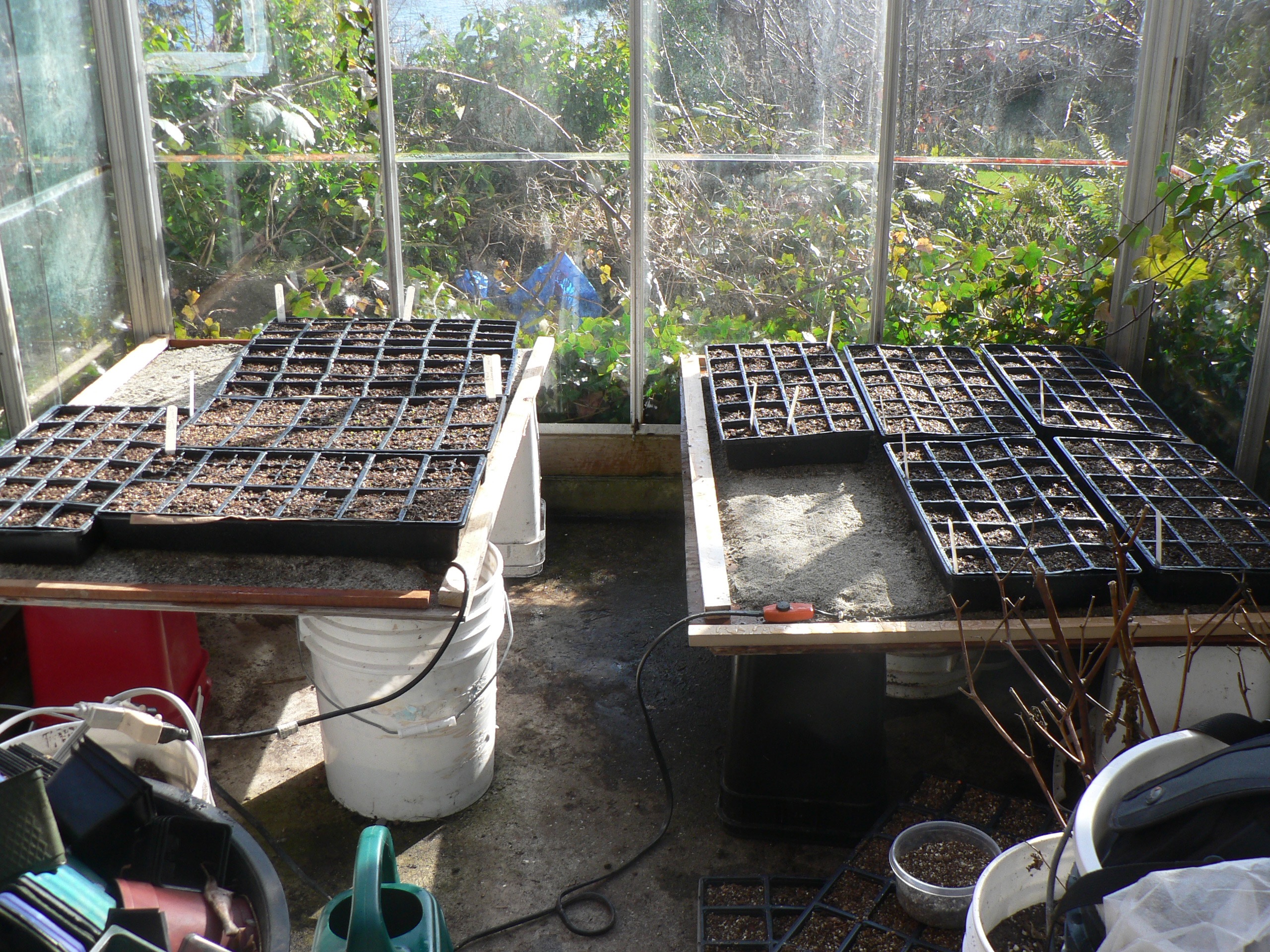 Indoor winter gardening under glass
