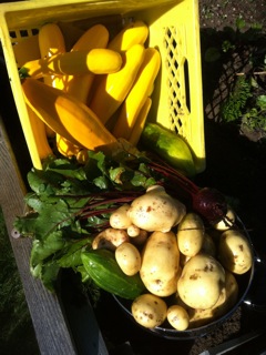 Alphabetically List Of Vegetables Every Thing You Need To Know Alphabetically List Of Vegetables, Alphabetical List Of Garden Vegetables