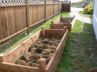 Vegetable gardening soil is important when starting a raised bed