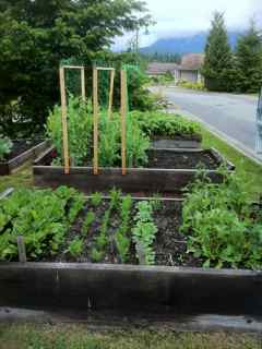 Joy of Vegetable Gardening